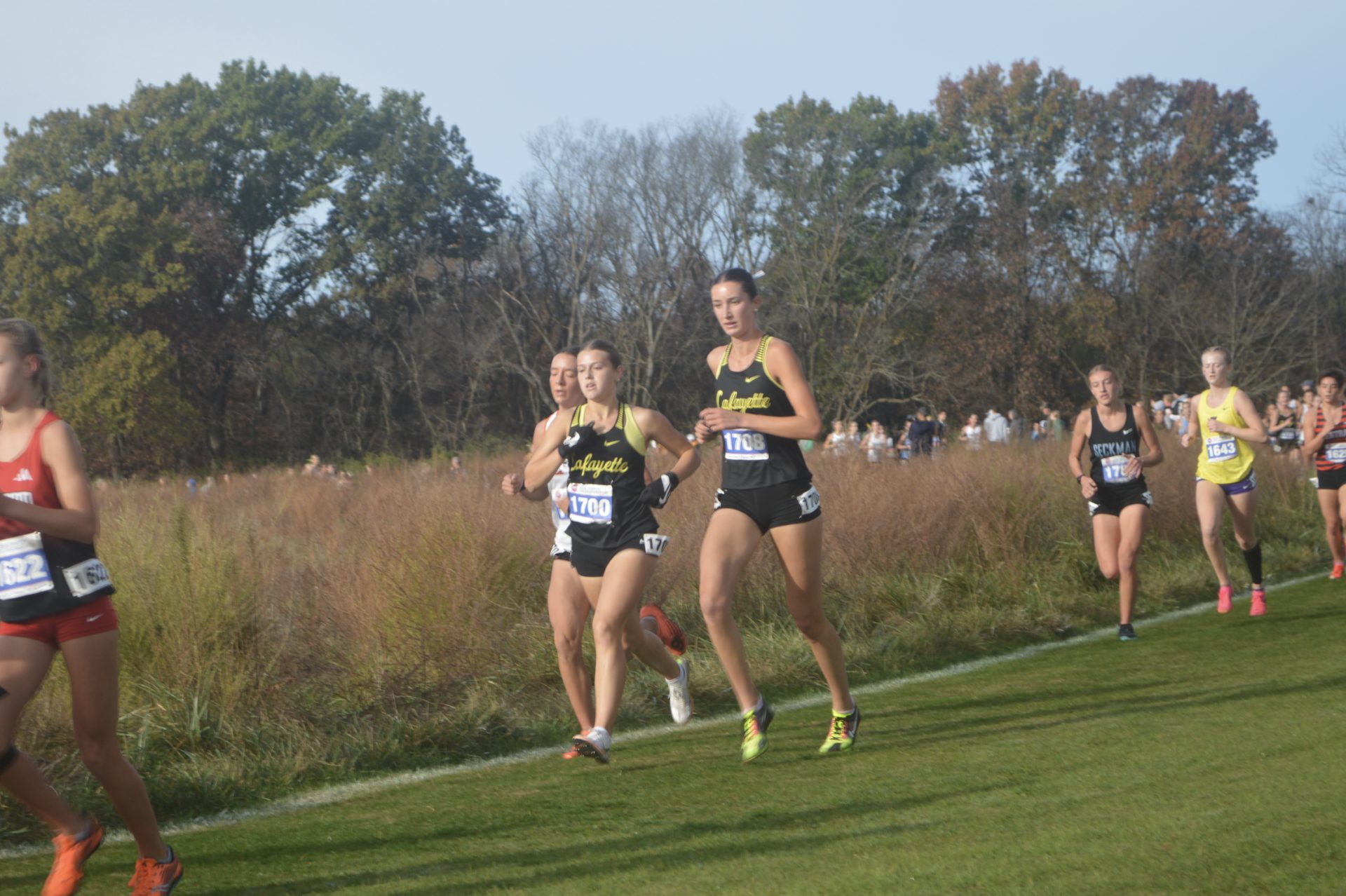 Kelly running at XC State championship